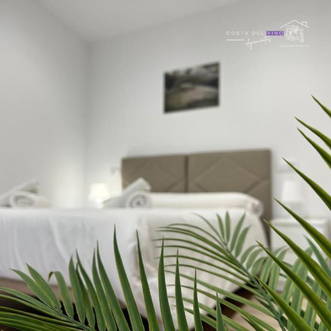 Apartamento El Mozo Labastida Extérieur photo
